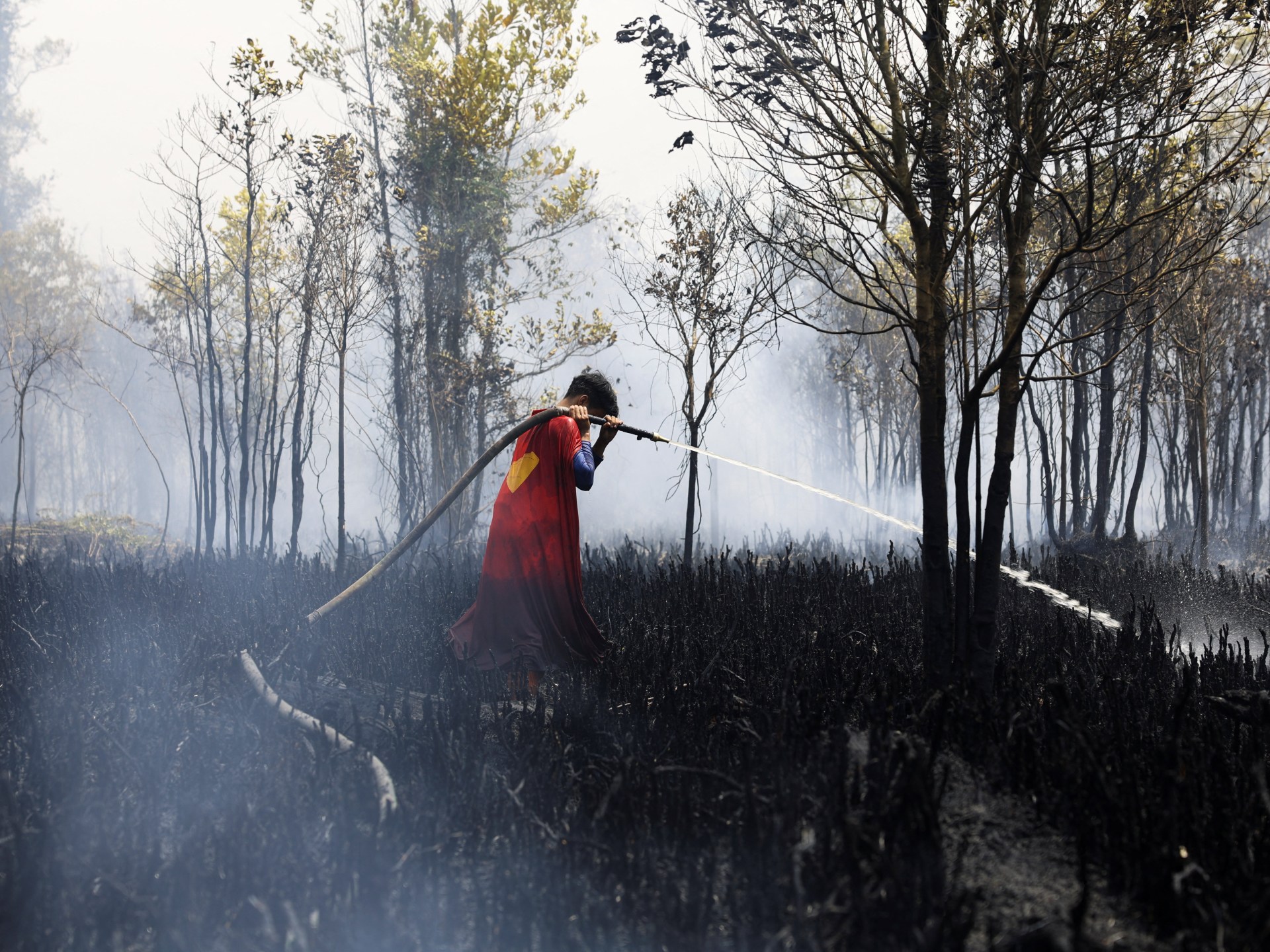 El Nino set to be most intense ‘for over a century': UK forecasters - French Caribbean News – Guadeloupe, Martinique & Regional Culture
